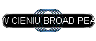W CIENIU BROAD PEAK