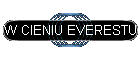 W CIENIU EVERESTU