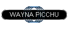 WAYNA PICCHU